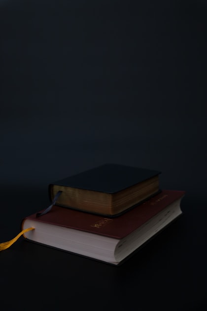 The Rise of Graphic Novels